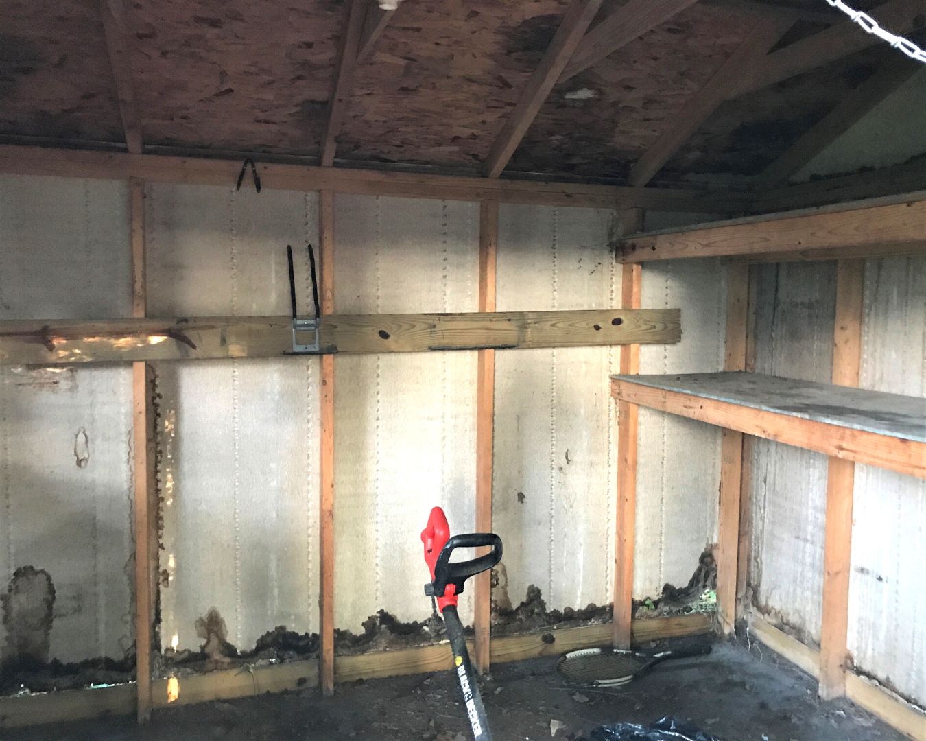 Old Garden Shed with Moisture Damaged Interior