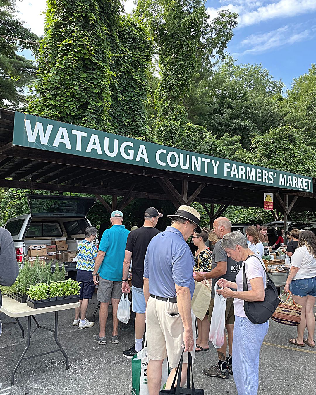 Watauga County Farmers' Market Boone NC