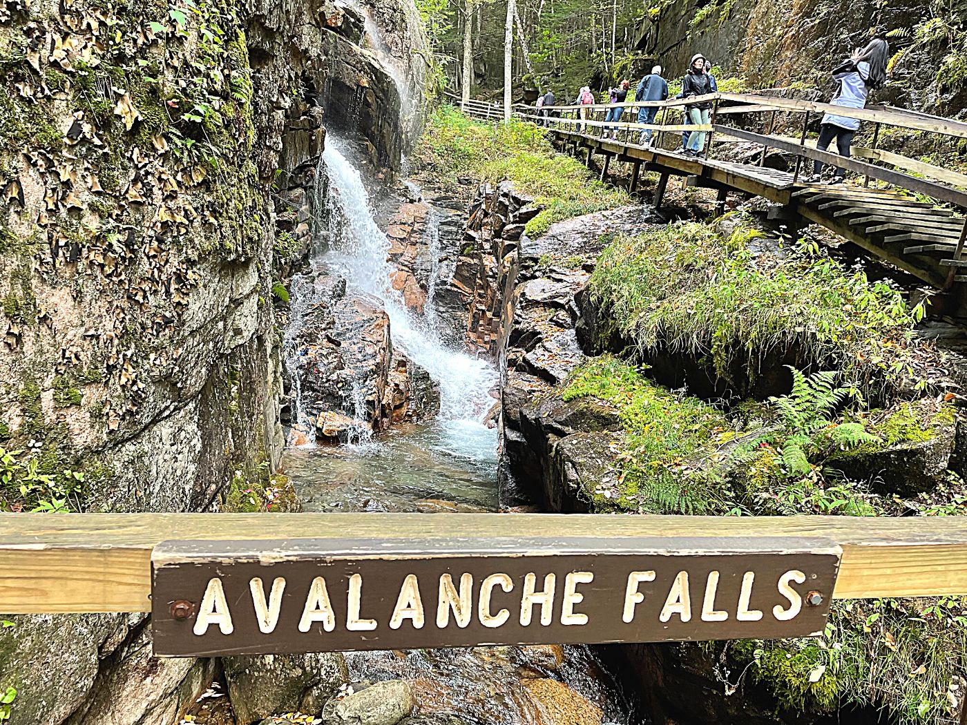 Avalanche Falls at Flume Gorge NH