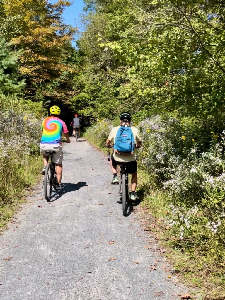 Best Things to Do in Abingdon, Virginia artseajody