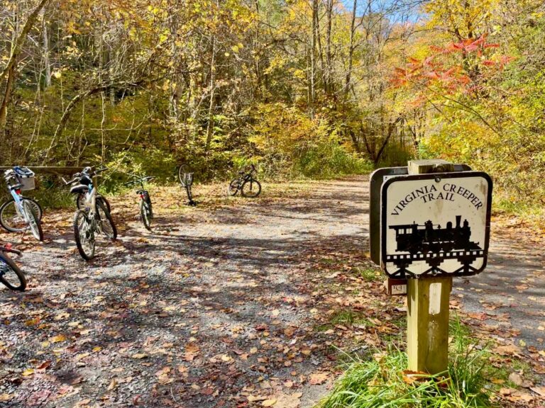 Your Ultimate Guide to the Virginia Creeper Trail